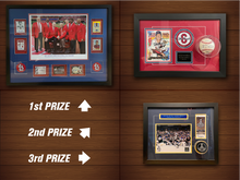 Rawlings Tigers 12U Silva Raffle